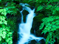 5a8040f3.jpg