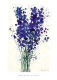 ¥ª¥¹¥«¡¼¡¦¥³¥é¡¼-¥¥ó¥Ý¥¦¥²