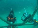 9aa87889.jpg