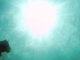 c60a0ef9.jpg