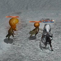 かぼ狩2