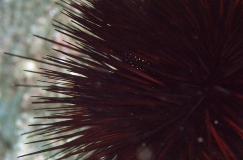 w200805043_0013