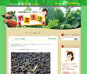 家庭菜園初心者“のこ”の野菜生活