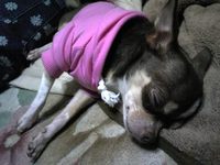 20091215_003.jpg