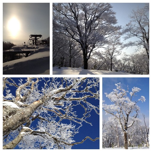 写真 (10)