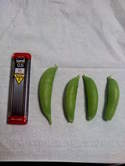 Image012~00