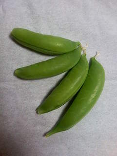 Image011~00