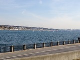 IMG_1116