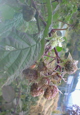 5e201257.jpg
