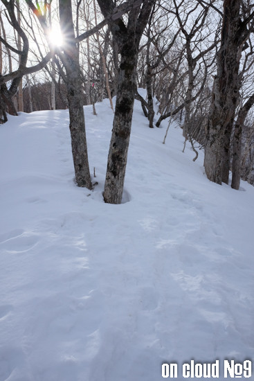DSCF0261