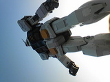 d994e5e6.jpg