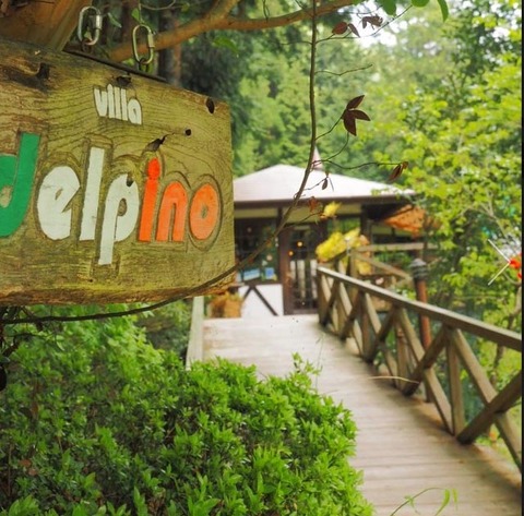 delpino