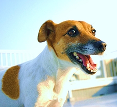 b887992cc8a8043b3db4.JPG