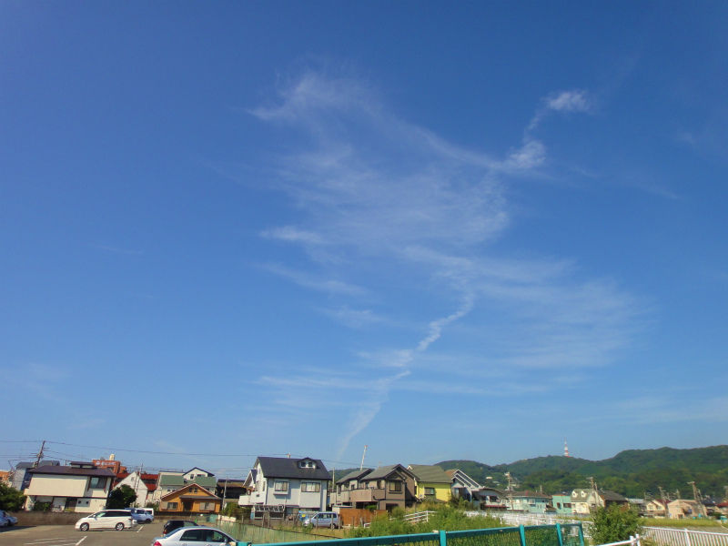 DSC01266