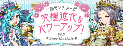 top_shinka