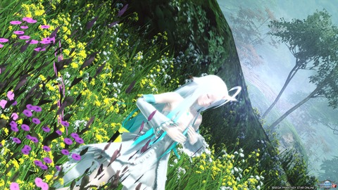 pso20170131_203815_074