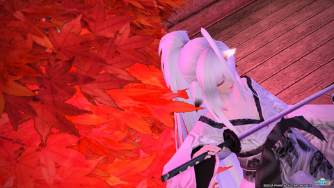 pso20180916_233705_024