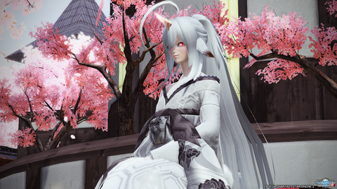 pso20180412_205607_021