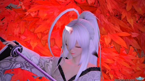 pso20180916_233740_027