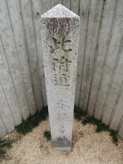 DSCN2449