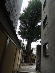 DSCN2379