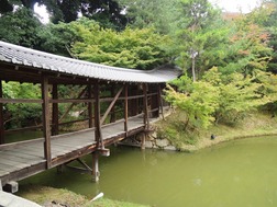 DSCN2390