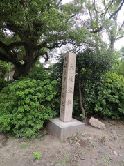 DSCN2338