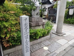 DSCN2443
