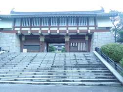 DSCN2498