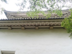 DSCN2344