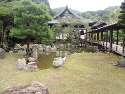 DSCN2388