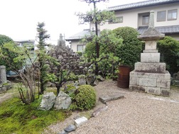 DSCN2494