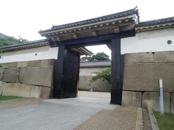 DSCN2349