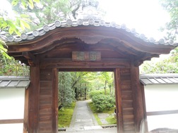 DSCN2413