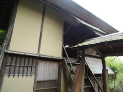 DSCN2402