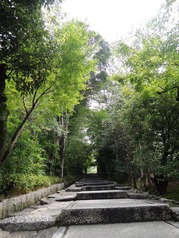 DSCN2385