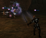 clan79