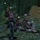 clan81