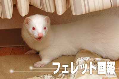 20090421