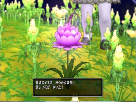 花が最多