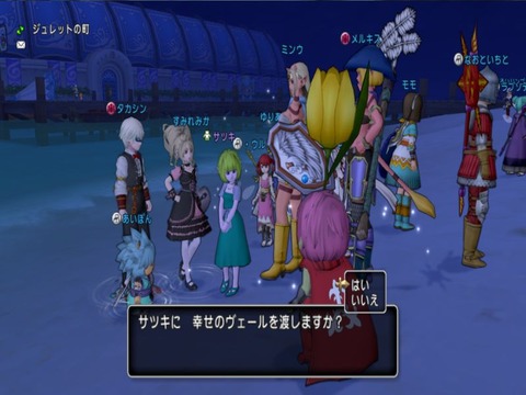 ヴェールを渡す
