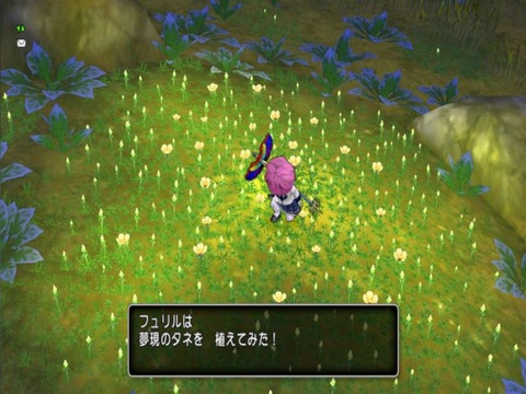 植えてみた