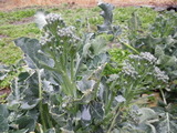 20120324 02