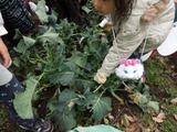 20120226 10