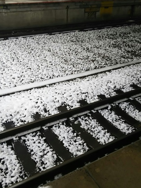 あいにくの雪模様