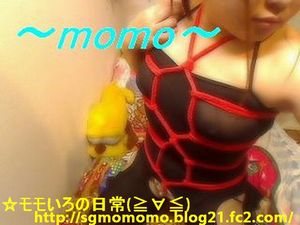 モモ138
