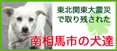 souma-dog