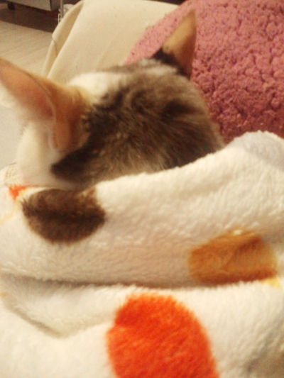 07