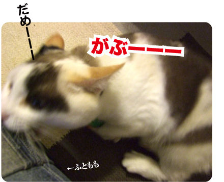 06