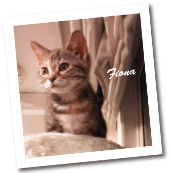 fiona